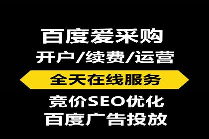 谷歌竞价案例：成功案例分析及启示